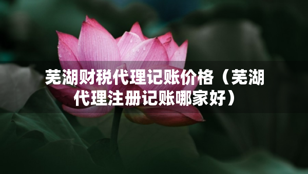 蕪湖財稅代理記賬價格（蕪湖代理注冊記賬哪家好）