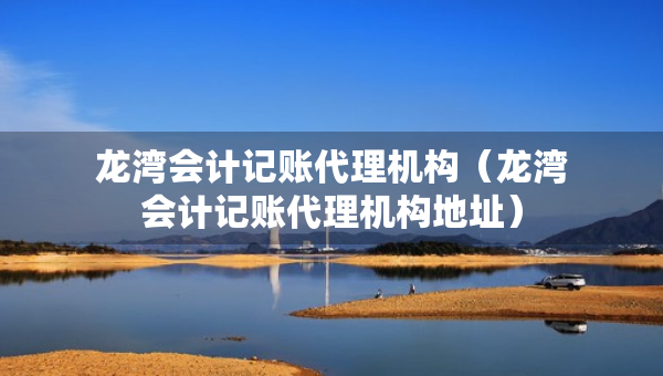 龍灣會(huì)計(jì)記賬代理機(jī)構(gòu)（龍灣會(huì)計(jì)記賬代理機(jī)構(gòu)地址）