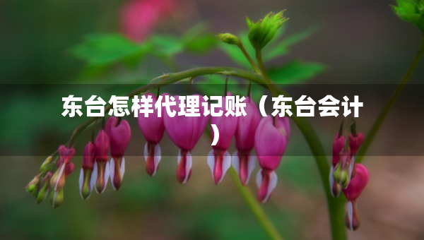 東臺怎樣代理記賬（東臺會計(jì)）