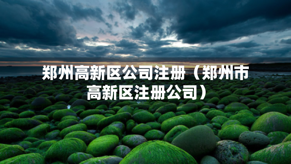 鄭州高新區(qū)公司注冊(cè)（鄭州市高新區(qū)注冊(cè)公司）