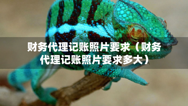 財務(wù)代理記賬照片要求（財務(wù)代理記賬照片要求多大）