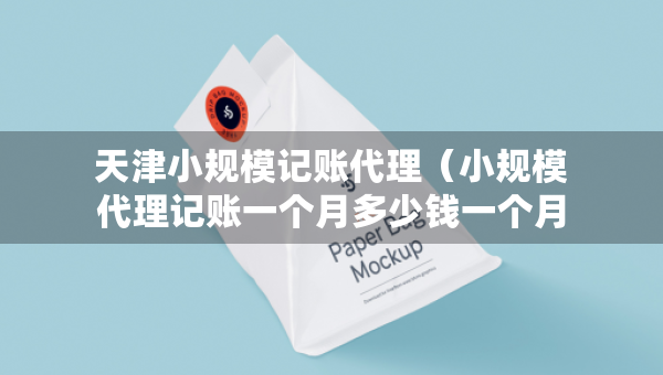 天津小規(guī)模記賬代理（小規(guī)模代理記賬一個(gè)月多少錢(qián)一個(gè)月）