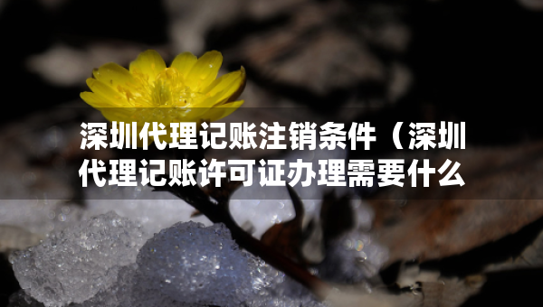 深圳代理記賬注銷條件（深圳代理記賬許可證辦理需要什么條件）