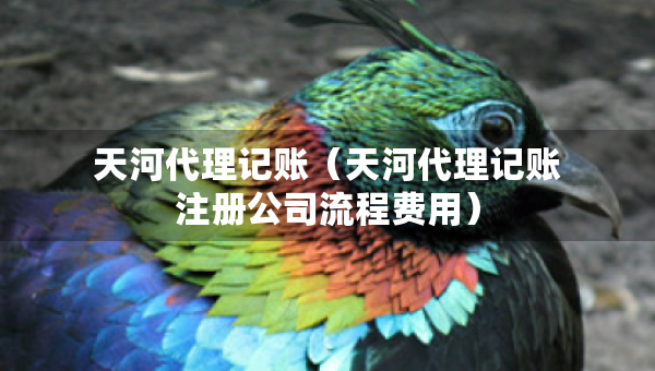 天河代理記賬（天河代理記賬注冊公司流程費(fèi)用）