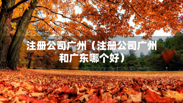 注冊公司廣州（注冊公司廣州和廣東哪個好）