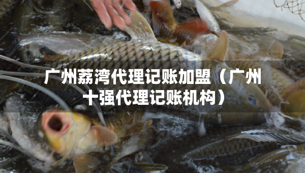 廣州荔灣代理記賬加盟（廣州十強(qiáng)代理記賬機(jī)構(gòu)）