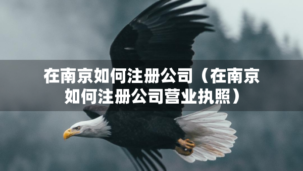 在南京如何注冊公司（在南京如何注冊公司營業(yè)執(zhí)照）