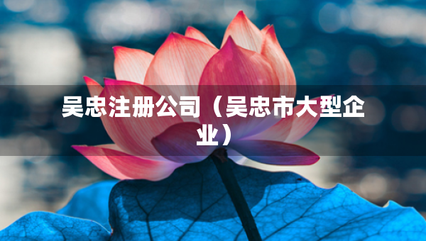 吳忠注冊公司（吳忠市大型企業(yè)）