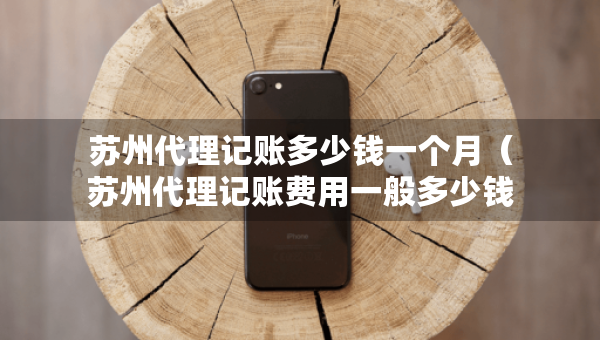 蘇州代理記賬多少錢一個月（蘇州代理記賬費用一般多少錢一個月）