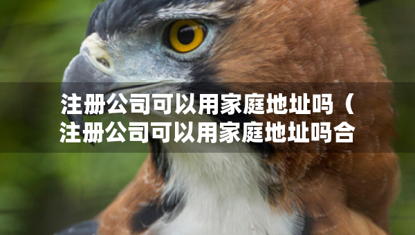 注冊公司可以用家庭地址嗎（注冊公司可以用家庭地址嗎合法嗎）