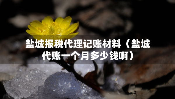 鹽城報稅代理記賬材料（鹽城代賬一個月多少錢?。? title=