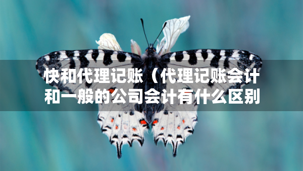 快和代理記賬（代理記賬會計(jì)和一般的公司會計(jì)有什么區(qū)別）