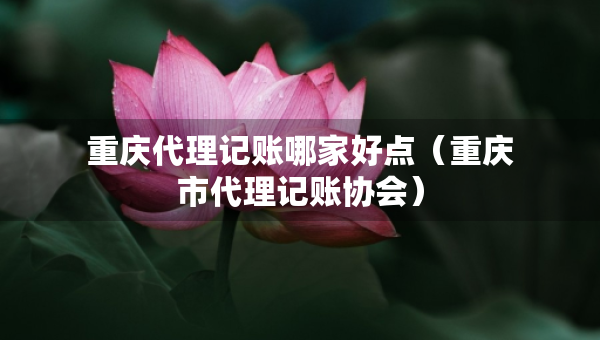 重慶代理記賬哪家好點（重慶市代理記賬協(xié)會）