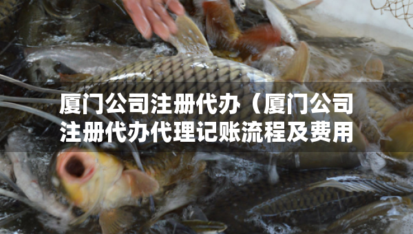 廈門公司注冊代辦（廈門公司注冊代辦代理記賬流程及費用）