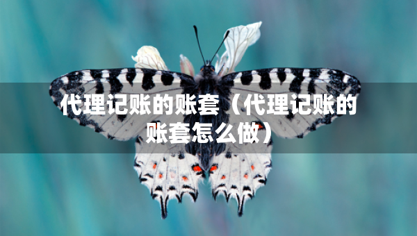 代理記賬的賬套（代理記賬的賬套怎么做）