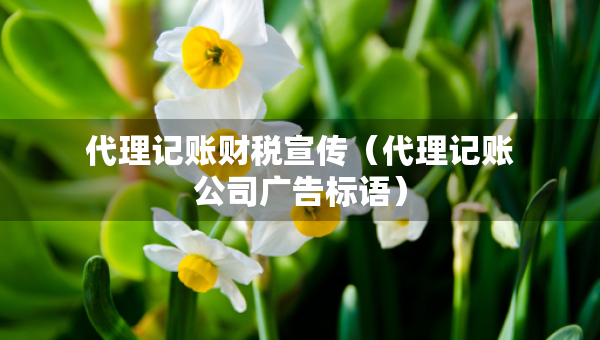 代理記賬財稅宣傳（代理記賬公司廣告標(biāo)語）