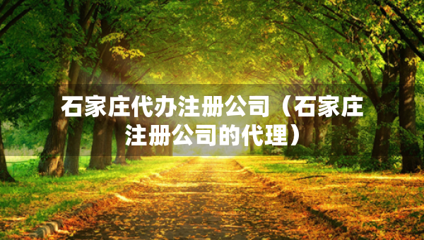 石家莊代辦注冊(cè)公司（石家莊注冊(cè)公司的代理）