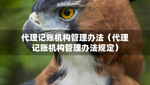 代理記賬機構(gòu)管理辦法（代理記賬機構(gòu)管理辦法規(guī)定）
