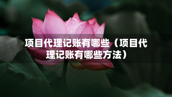 項(xiàng)目代理記賬有哪些（項(xiàng)目代理記賬有哪些方法）