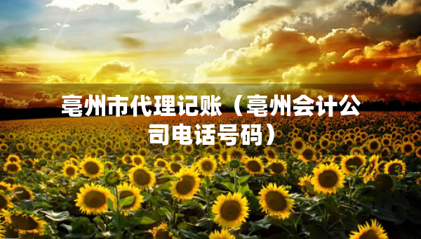 亳州市代理記賬（亳州會(huì)計(jì)公司電話號(hào)碼）