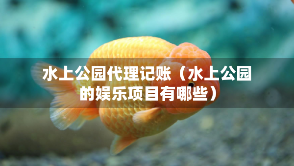 水上公園代理記賬（水上公園的娛樂項(xiàng)目有哪些）