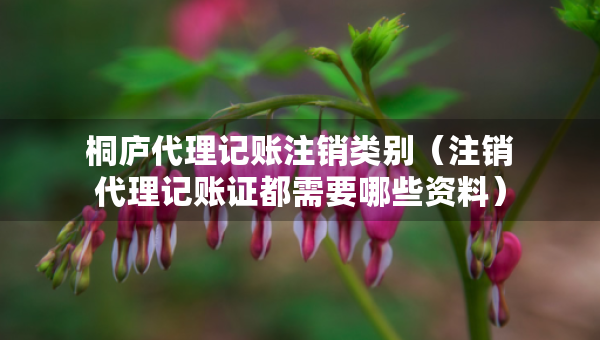 桐廬代理記賬注銷類別（注銷代理記賬證都需要哪些資料）