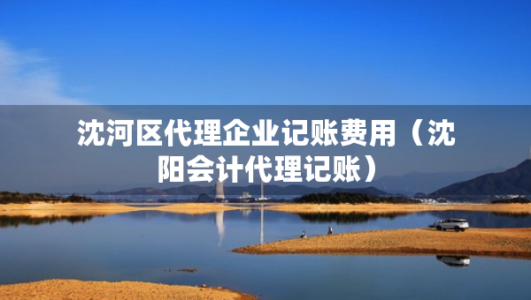 沈河區(qū)代理企業(yè)記賬費(fèi)用（沈陽會計代理記賬）