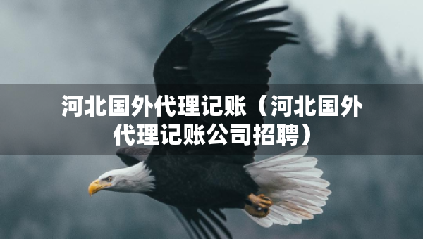 河北國(guó)外代理記賬（河北國(guó)外代理記賬公司招聘）