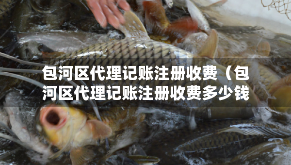 包河區(qū)代理記賬注冊收費（包河區(qū)代理記賬注冊收費多少錢）