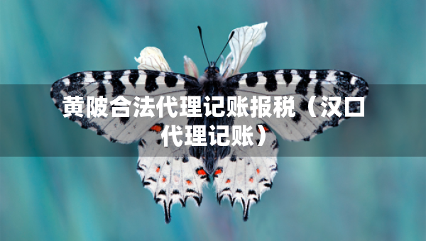黃陂合法代理記賬報稅（漢口代理記賬）
