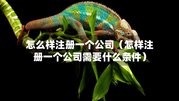 怎么樣注冊一個(gè)公司（怎樣注冊一個(gè)公司需要什么條件）