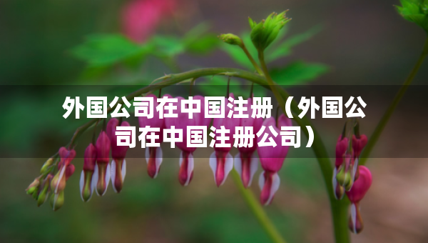 外國公司在中國注冊（外國公司在中國注冊公司）