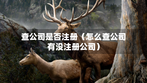 查公司是否注冊(cè)（怎么查公司有沒注冊(cè)公司）