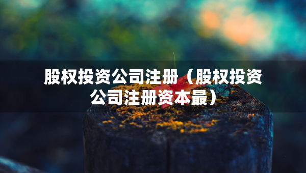 股權投資公司注冊（股權投資公司注冊資本最）