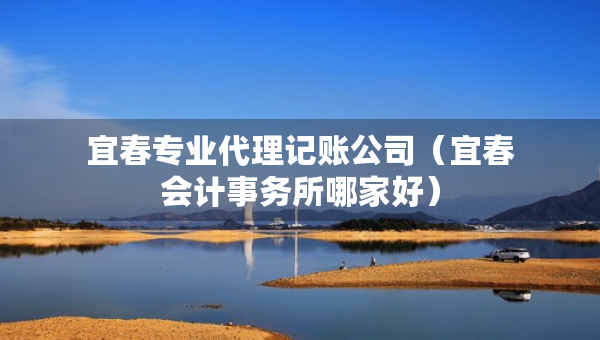 宜春專業(yè)代理記賬公司（宜春會計(jì)事務(wù)所哪家好）