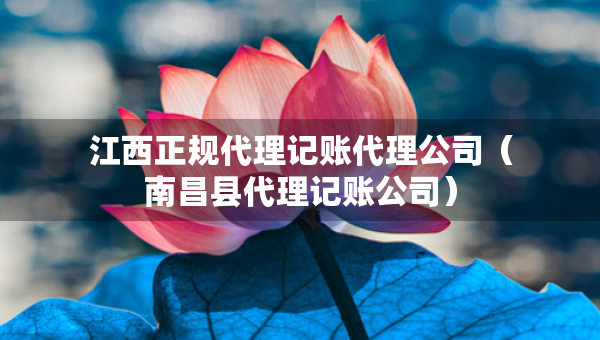 江西正規(guī)代理記賬代理公司（南昌縣代理記賬公司）