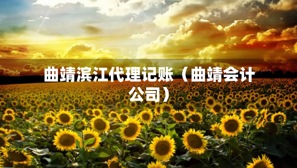 曲靖濱江代理記賬（曲靖會(huì)計(jì)公司）