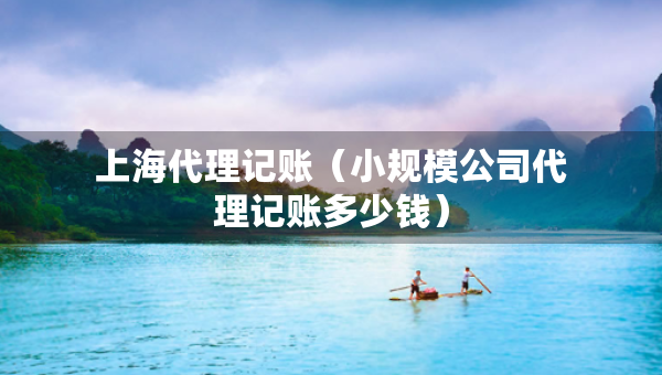 上海代理記賬（小規(guī)模公司代理記賬多少錢）
