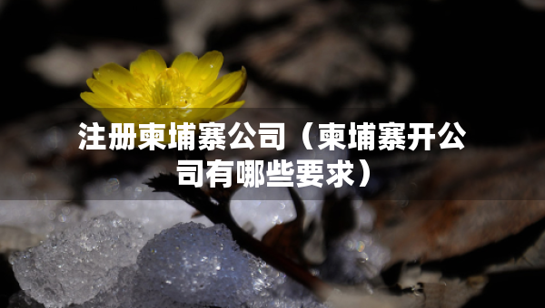 注冊柬埔寨公司（柬埔寨開公司有哪些要求）