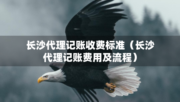 長(zhǎng)沙代理記賬收費(fèi)標(biāo)準(zhǔn)（長(zhǎng)沙代理記賬費(fèi)用及流程）