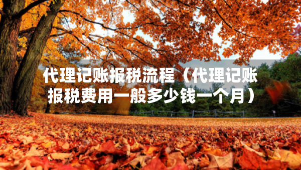 代理記賬報稅流程（代理記賬報稅費用一般多少錢一個月）