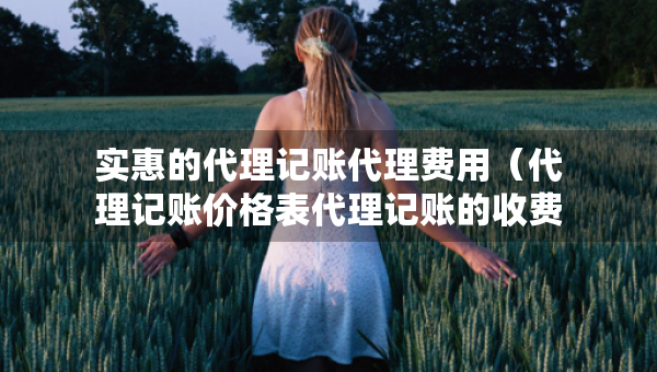 實惠的代理記賬代理費用（代理記賬價格表代理記賬的收費標準）