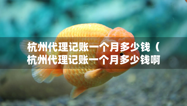 杭州代理記賬一個(gè)月多少錢（杭州代理記賬一個(gè)月多少錢?。? title=
