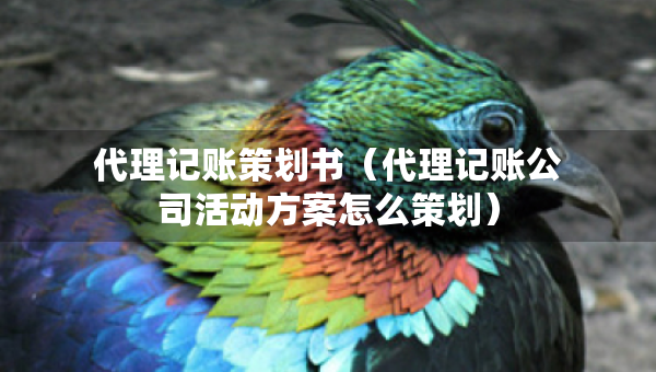 代理記賬策劃書（代理記賬公司活動方案怎么策劃）