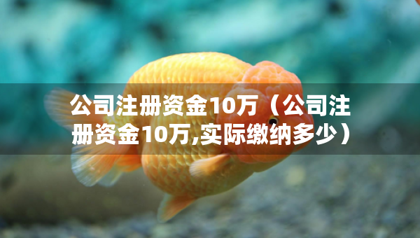 公司注冊(cè)資金10萬(wàn)（公司注冊(cè)資金10萬(wàn),實(shí)際繳納多少）
