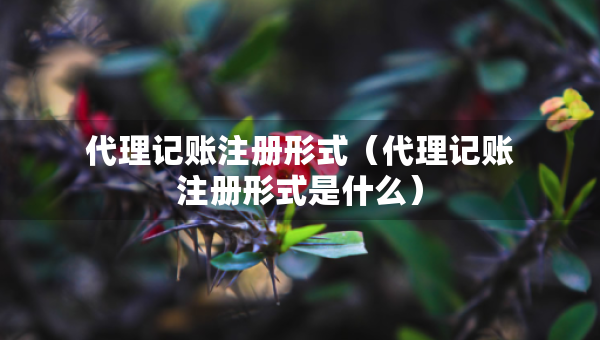 代理記賬注冊(cè)形式（代理記賬注冊(cè)形式是什么）