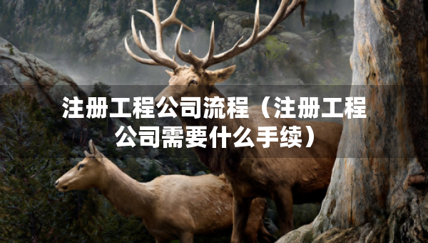 注冊(cè)工程公司流程（注冊(cè)工程公司需要什么手續(xù)）