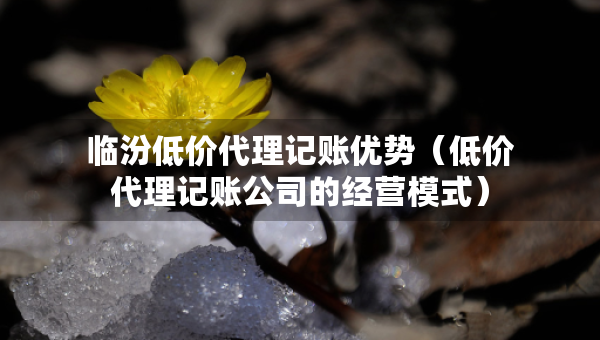 臨汾低價(jià)代理記賬優(yōu)勢(shì)（低價(jià)代理記賬公司的經(jīng)營(yíng)模式）
