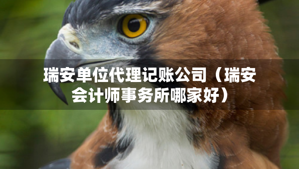 瑞安單位代理記賬公司（瑞安會(huì)計(jì)師事務(wù)所哪家好）