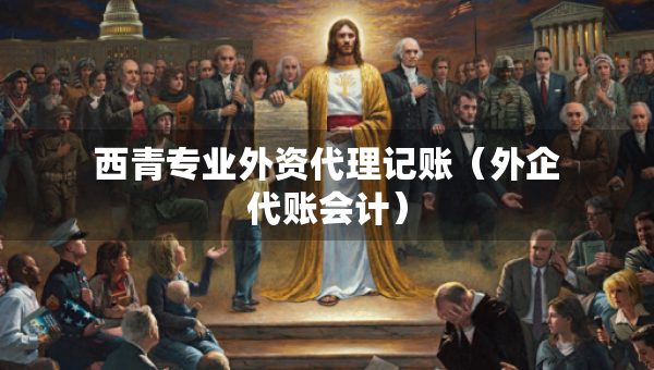 西青專業(yè)外資代理記賬（外企代賬會(huì)計(jì)）